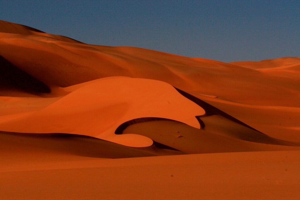 desert sand during dawn